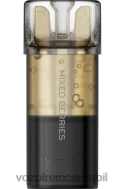 VOZOL Arome fructe de padure amestecate | VOZOL SWITCH pro 02626203