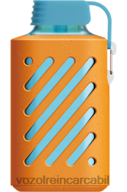 VOZOL Arome mandarina de zmeura | VOZOL GEAR 10000 02626305