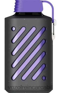 VOZOL Nicotina furtuna cu fructe de pădure | VOZOL GEAR 10000 02626291