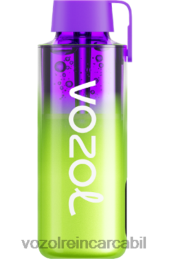 VOZOL Nicotina pepene verde zmeura | VOZOL NEON 10000 02626237