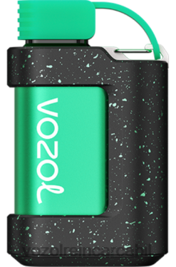 VOZOL Pret menta rece | VOZOL GEAR 7000 02626332