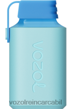 VOZOL Romania gheata de afine | VOZOL GEAR 600 02626361