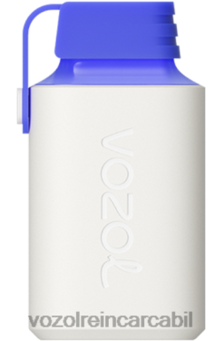VOZOL Vape Nicotina blue razz lemon | VOZOL GEAR 600 02626346
