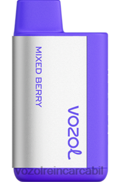 VOZOL Vape Nicotina fructe de padure amestecate | VOZOL TIGO 600 02626370