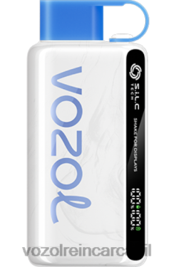 VOZOL Vape Nicotina furtuna de afine | VOZOL STAR 9000/12000 0262622