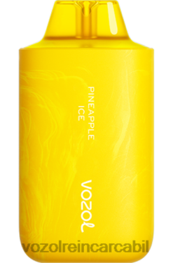 VOZOL Vape Nicotina gheata de ananas | VOZOL STAR 6000/8000 v2 0262664