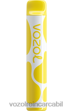VOZOL Vape Nicotina gheata de banane | VOZOL JOYGO 600 02626376