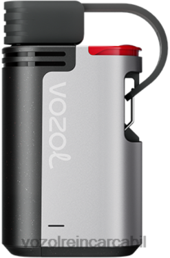 VOZOL Vape Nicotina inghetata de capsuni | VOZOL GEAR 4000c/6000 02626328