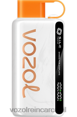 VOZOL Vape Nicotina piersic mango pepene verde | VOZOL STAR 9000/12000 0262628