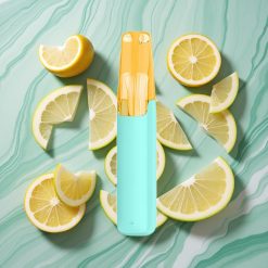 Snowplus Dash 4000 Pufuri Dispozabil Alb Înghețat Ceramică