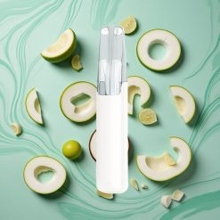 Snowplus Dash 4000 Pufuri Dispozitiv Disposable Apă de Nucă de Cocos Ceramic