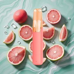 Snowplus Dash 4000 Pufuri Dispozitiv Disposable Aroma Litchi Gheață