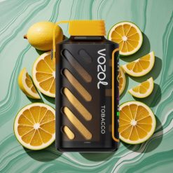 VOZOL Gear Power 20000 Pufuri Pufuri Dispozabil Dual Mesh Coil