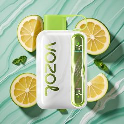 VOZOL STAR 40000 Pufuri Vape Disposable Mentă Răcoritoare Port Type-C