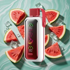 VOZOL Star 20000 Pufuri Vape Pepene Gheata Ecran HD 2.2"