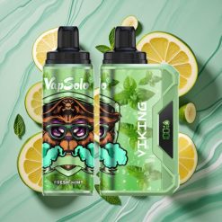 VapSolo VIKING 12000 Pufuri Mentă Proaspătă cu Port USB-C